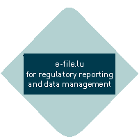 Go to homepage of e-file.lu for regulatory reporting